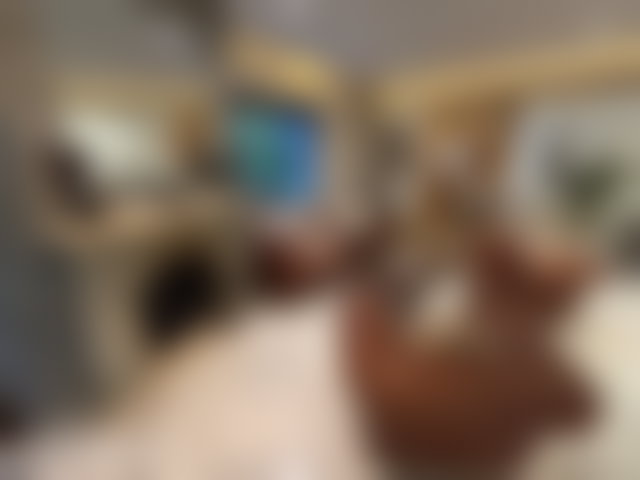 3-Bedroom Apartment with Terrace and Garden, Racine, Casablanca — 5