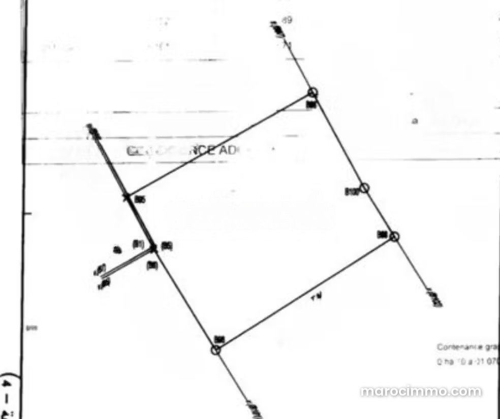 1,003 m² Plot with Sea View, Aïn Diab Extension, Casablanca — Casablanca