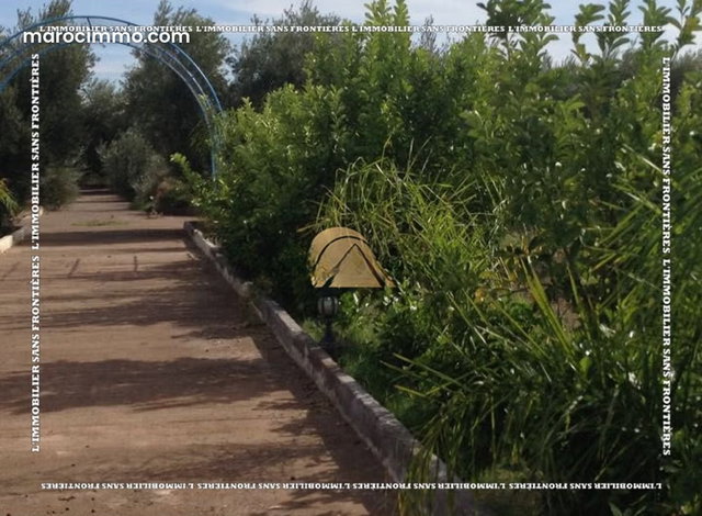 Ferme agricole à vendre — 3 hectares 5700m² Route de Fes Km 25, Marrakech — 4