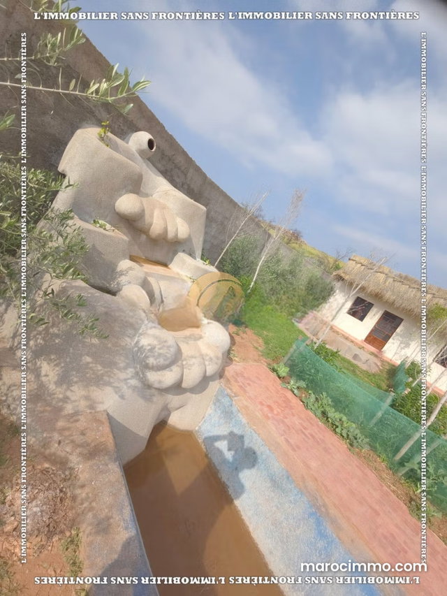 Ferme à vendre — 1 hectare Tidili Km 35, Marrakech — 5