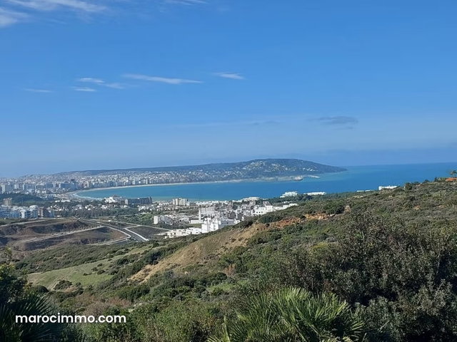 Vente Terrain Zone Villa 4000 m2 à Nouinouiche — 2