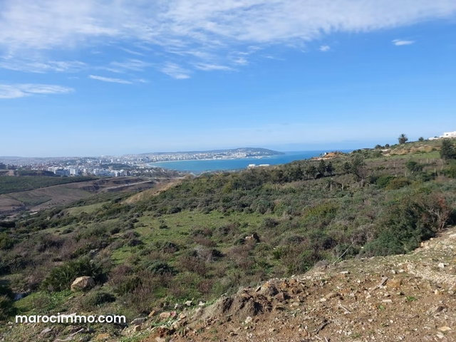 Vente Terrain Zone Villa 4000 m2 à Nouinouiche — 4