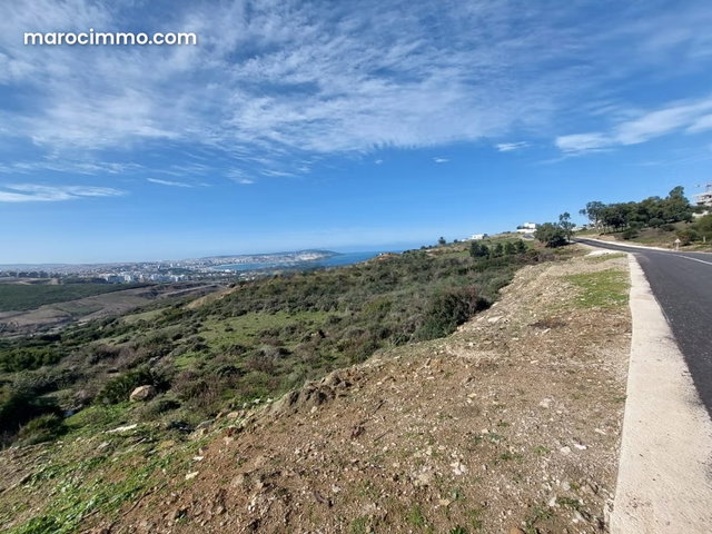 Vente Terrain Zone Villa 4000 m2 à Nouinouiche — 5