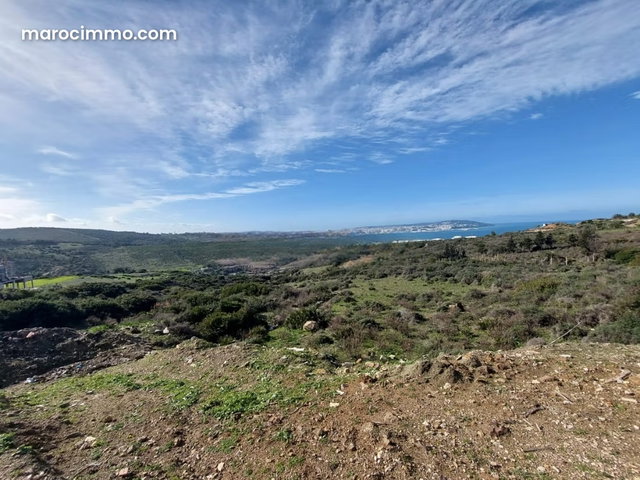 Vente Terrain Zone Villa 4000 m2 à Nouinouiche — 3