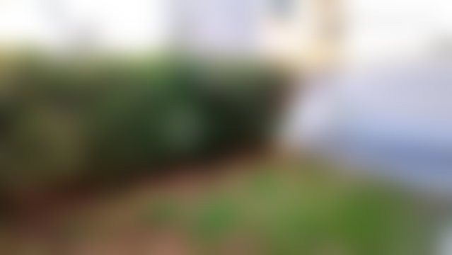 فيلا رحبة وحديقة غنّاء للبيع في مولاي يعقوب — 2