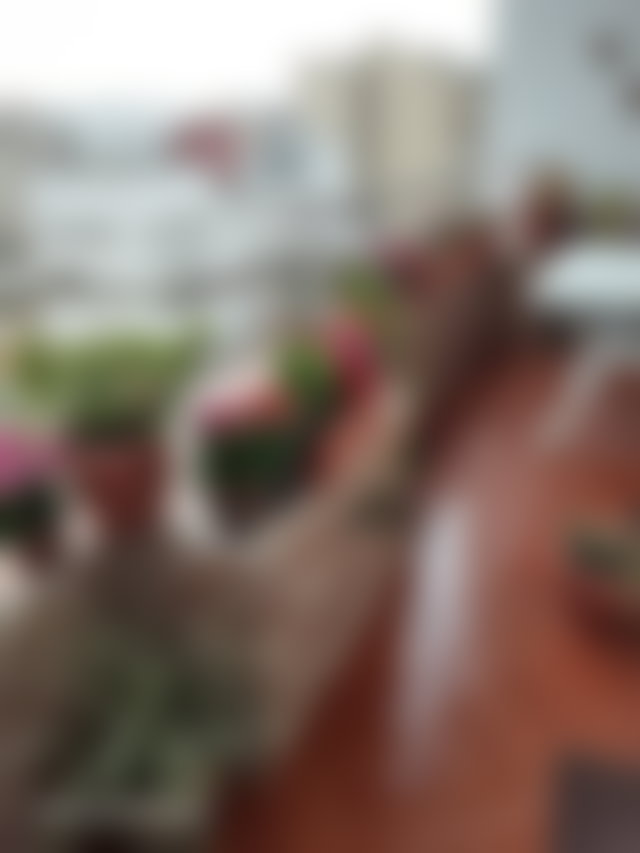Appartement lumineux 104 m², quartier Administratif, Tanger — 5