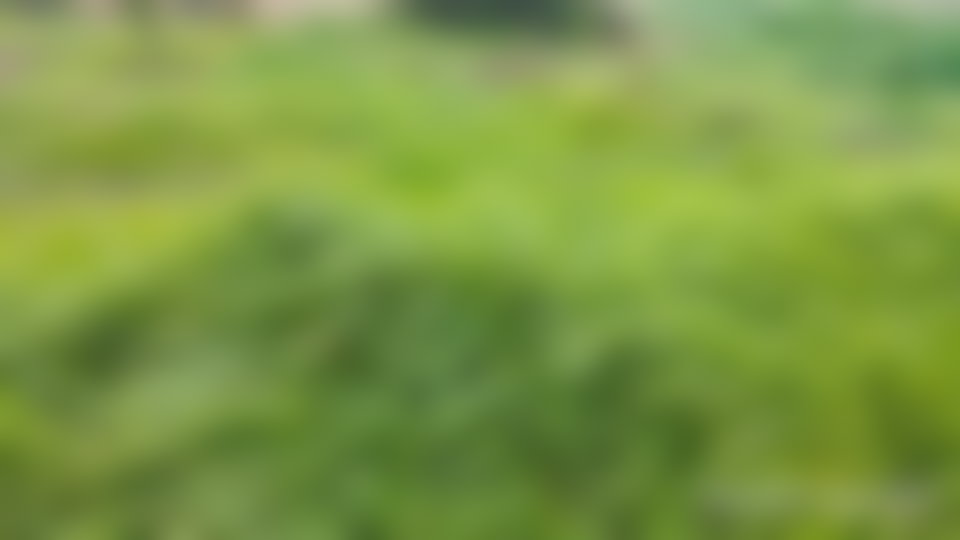 أرض محفظة 1000 م² للبيع بغزوة قرب الصويرة