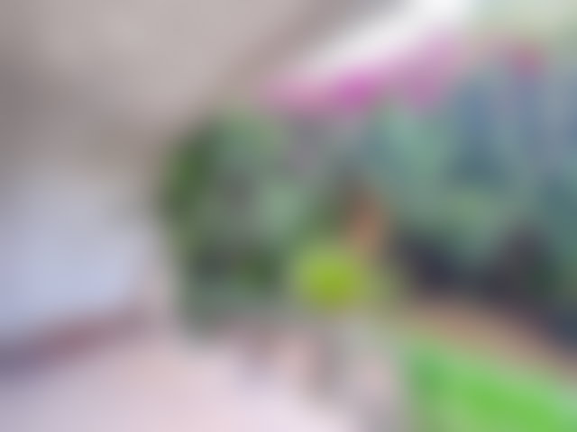 1,170 m² Villa to Renovate, Polo, Casablanca, Dual Frontage — 4