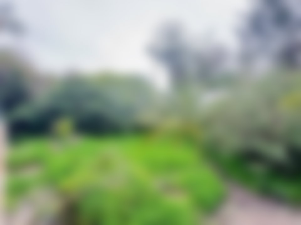 1,170 m² Villa to Renovate, Polo, Casablanca, Dual Frontage