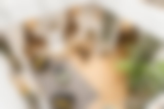 منزل بثلاث غرف نوم ومسبح وإطلالة جبلية في الرميلة مراكش — 3