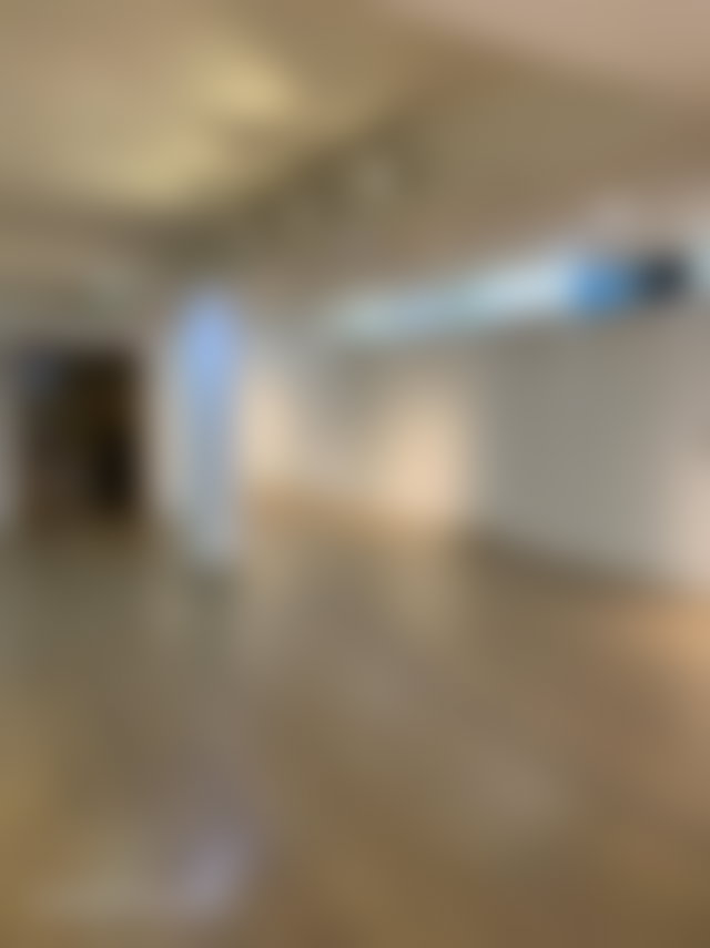 Local commercial 254 m² Anfa, Casablanca, double niveau — 3