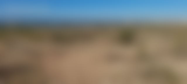 7,000 m² Sea-View Plot in Essaouira on the Safi Road — Essaouira