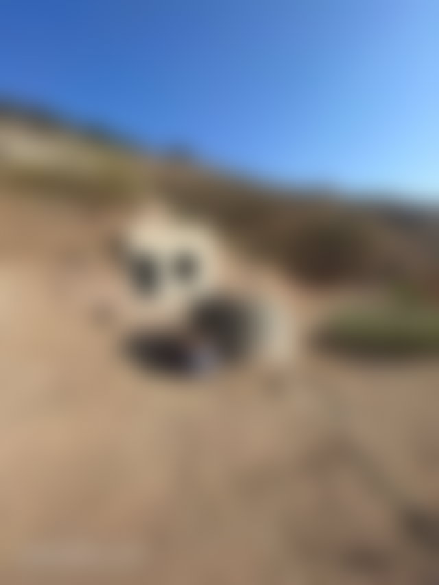 Terrain 2,6 hectares, route d'Ourika, Tamazouzte, idéal tourisme — 5
