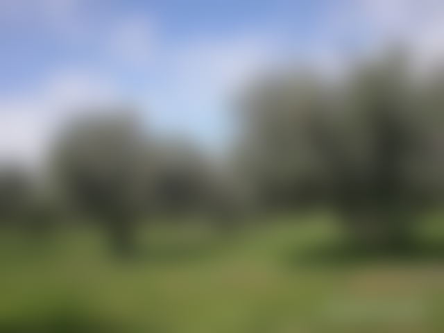 11-Hectare Plot of Land for Sale on the Route de Tahanaoute, Marrakech — Marrakesh