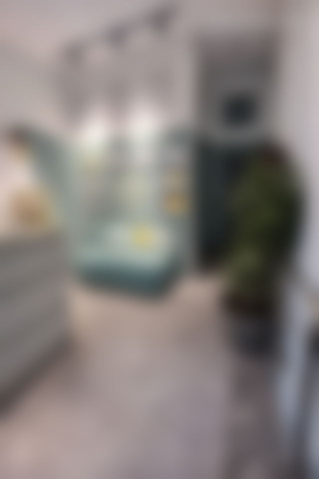 Commercial Premises with Business for Sale in Mers Sultan, Casablanca — Casablanca
