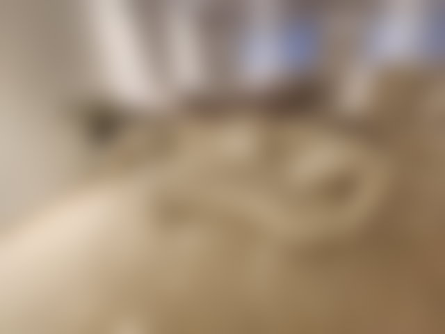 Furnished 220 m² Apartment with Terrace in Racine, Casablanca — 4
