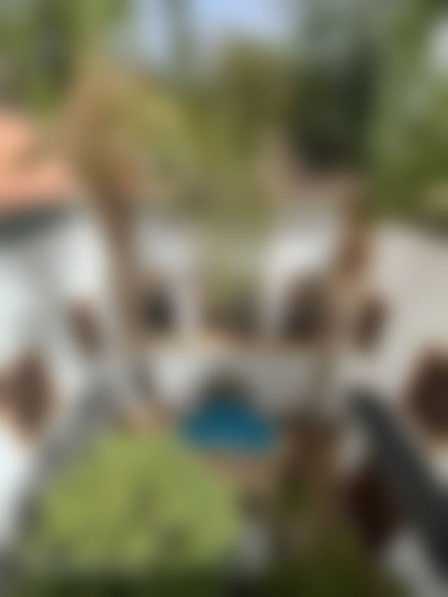 5-Bedroom House with Swimming Pool, El Moukef, Marrakech — Marrakesh