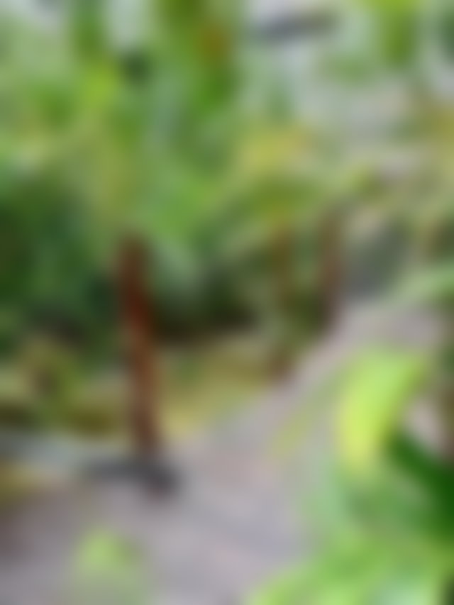 Studio meublé 56 m², résidence jardin exotique, Racine Casablanca — 4