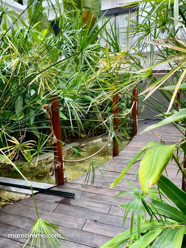 Studio d’Exception Thaïlandais à Racine — 4