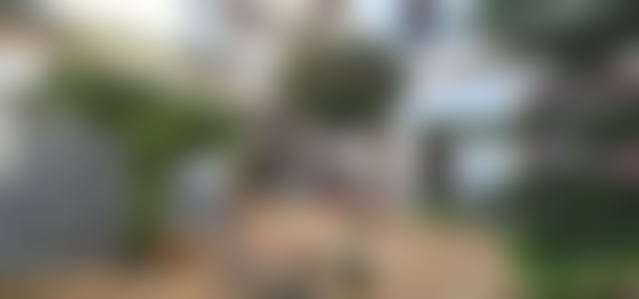 رياض مفروش ساحر للبيع في قلب المدينة العتيقة بالصويرة — الصويرة