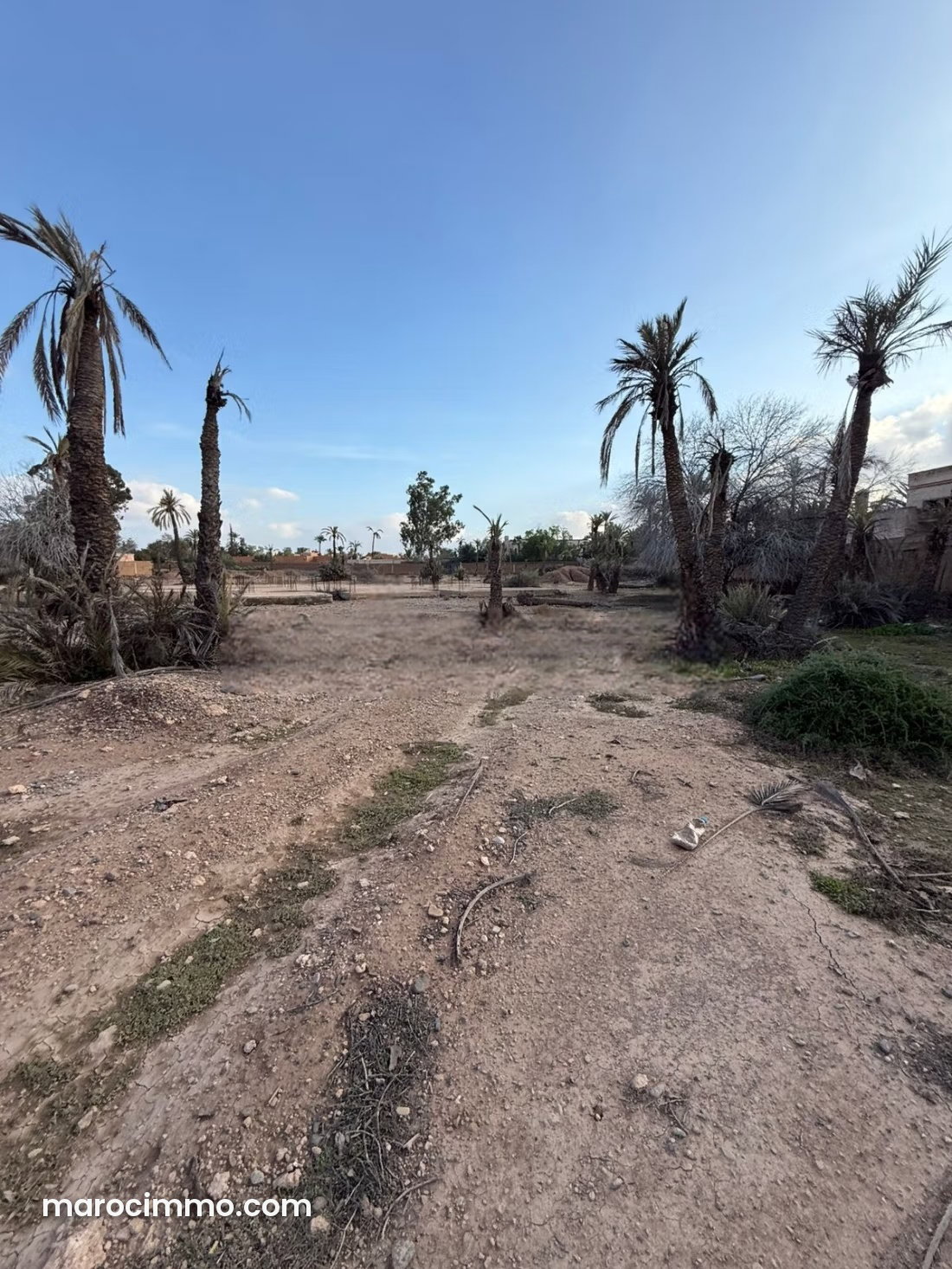 10,600 m² Serviced Plot with Foundations, Palmeraie, Marrakech — Marrakesh