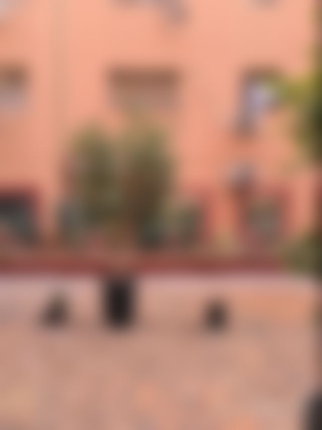 Sunny Studio for Sale in Hivernage, Marrakech — Marrakesh