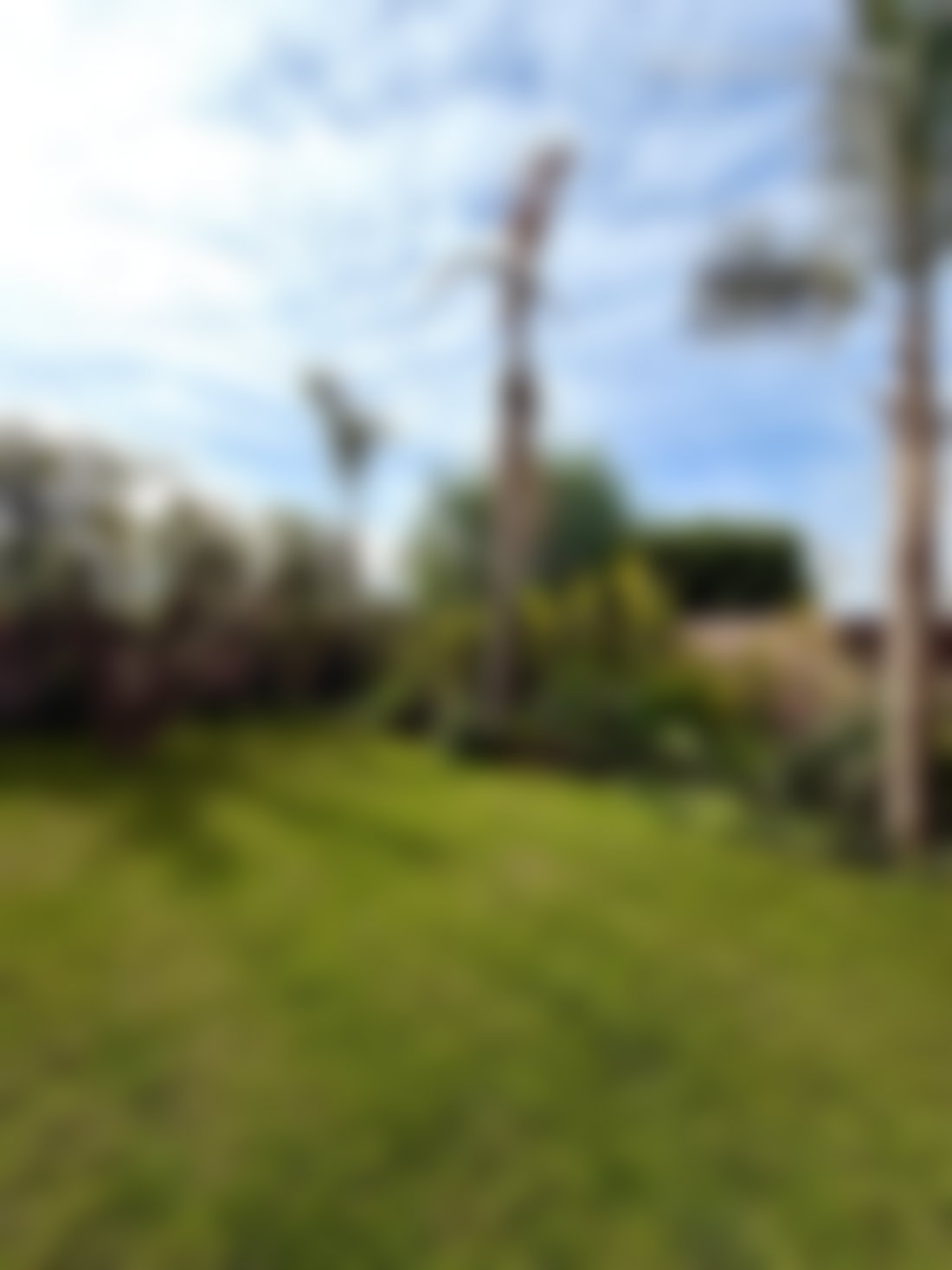 Terrain 2222 m² Agdal, Marrakech, zone résidentielle prisée