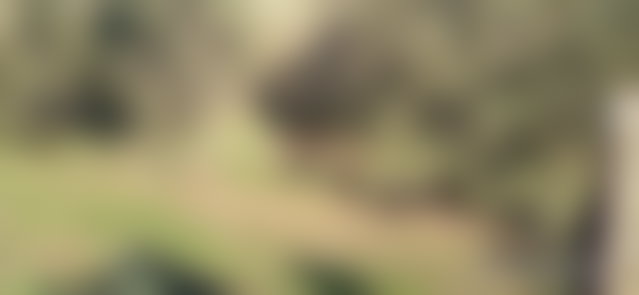 Wooded 2,085 m² Plot, Route d'El Jadida, Casablanca — 2