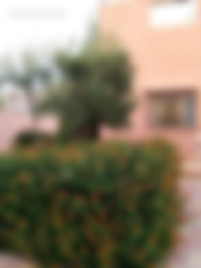 منزل بحديقة ومسبح وإطلالة جبال بطريق أوريكا مراكش — 3