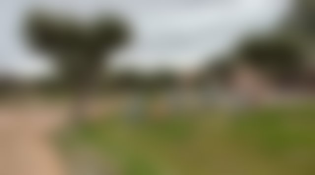 فيلا فسيحة للبيع بطريق أوريكا في مراكش — 5