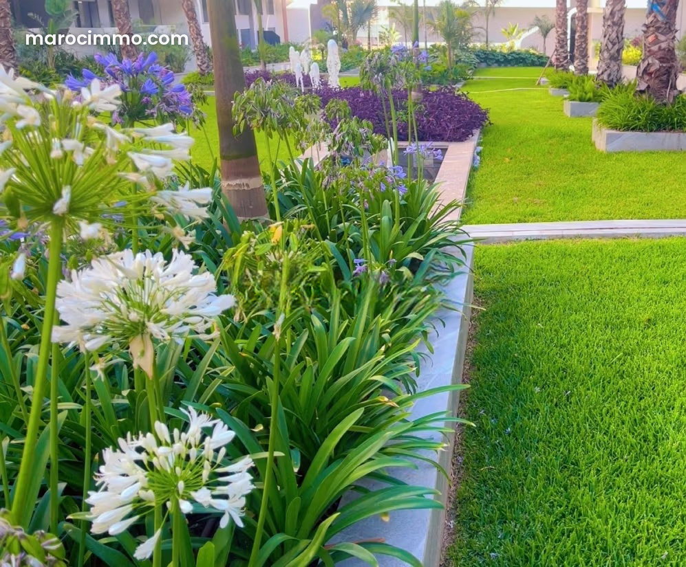 3-Bedroom Apartment for Rent, Californie, Casablanca — Casablanca