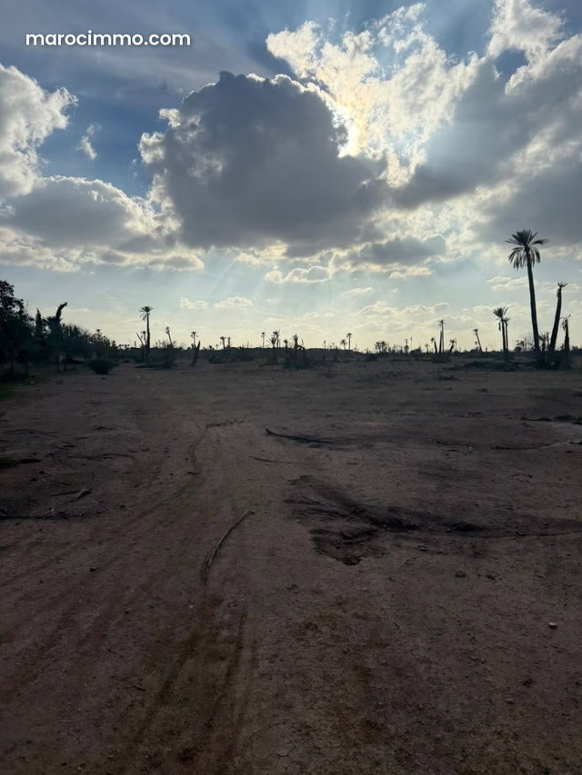 Land for sale in Marrakech Palmeraie for hotel — 3
