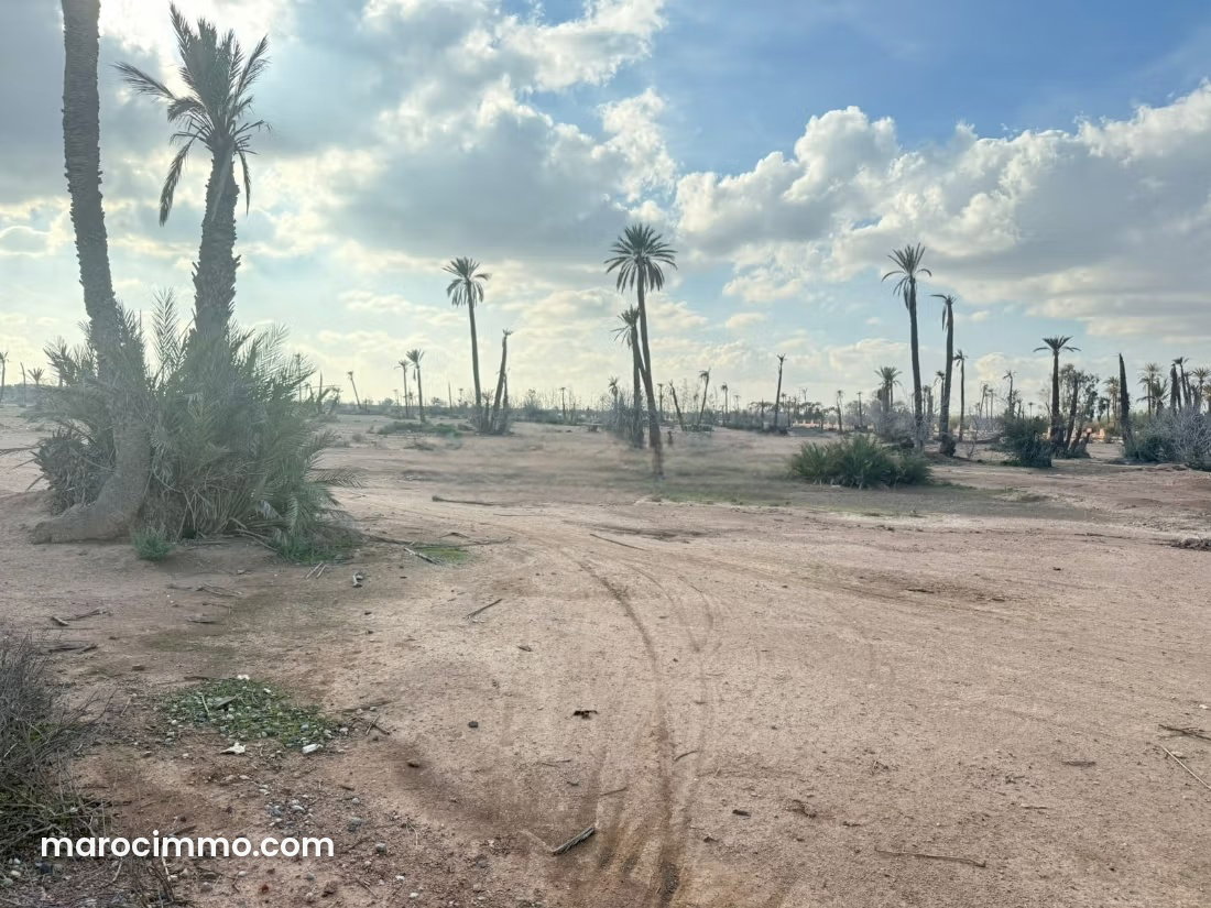 7-Hectare Plot in the Palmeraie, Marrakech — Marrakesh
