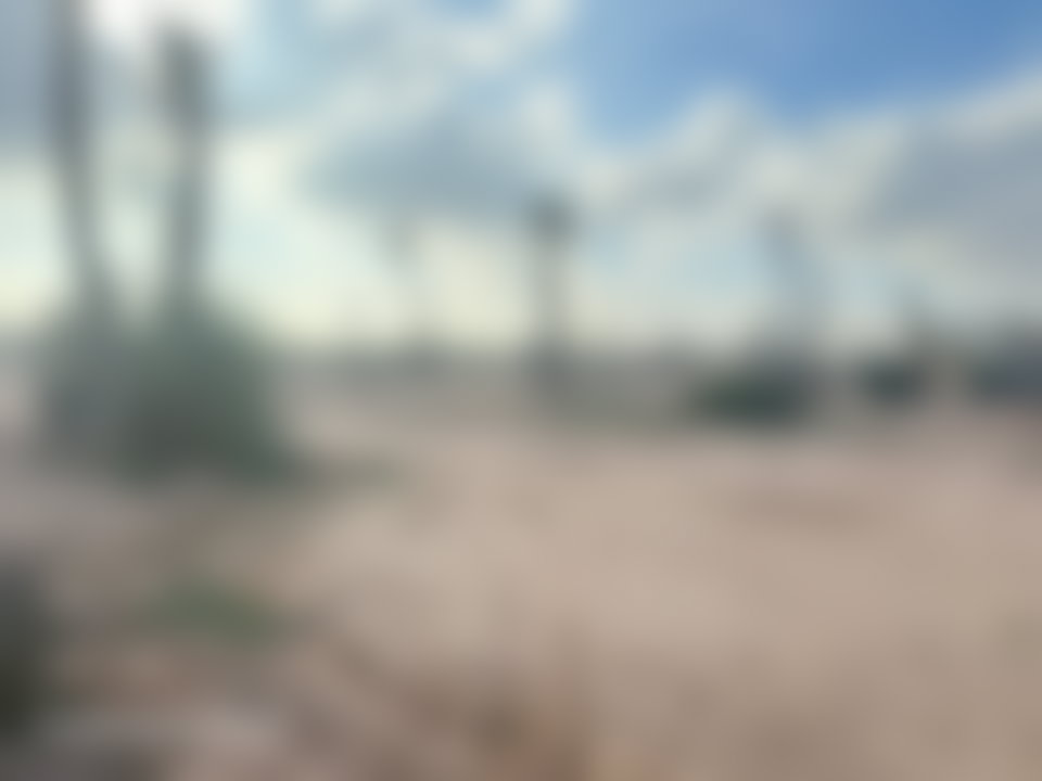 أرض شاسعة للبيع بواحة النخيل في مراكش