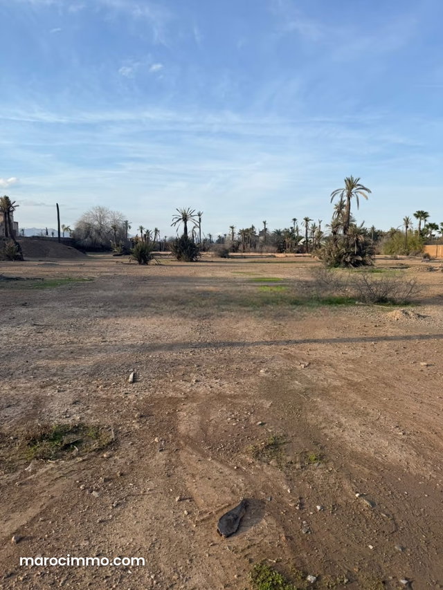 Land for sale in Marrakech Palmeraie for hotel — 4
