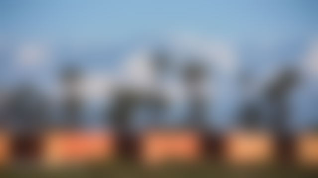 Terrain 2500 m² route d'Ourika Marrakech vue Atlas — Marrakech