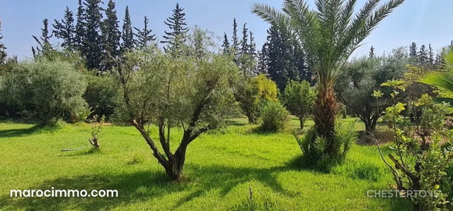 3 villas sur 11000 m2 kms route de Ouarzazate Marrakech — 2