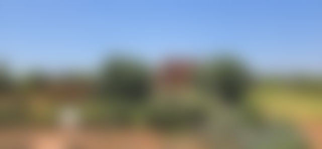 Villa contemporaine 450 m², Route d'Amezmiz, Marrakech — 3