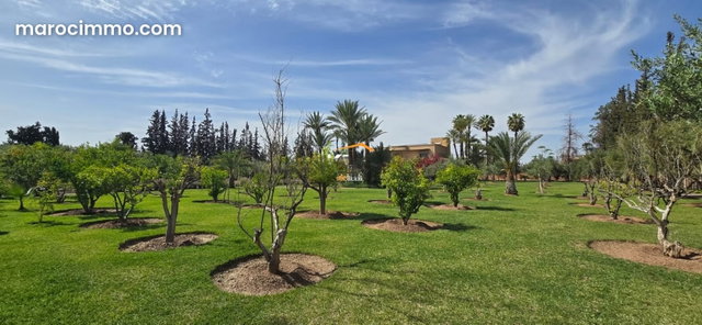 Beautiful Character Villas Located 15 Minutes from Marrakech City Center — 4