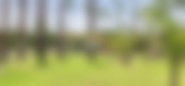 فيلا راقية للبيع بطريق ورزازات في مراكش — 3