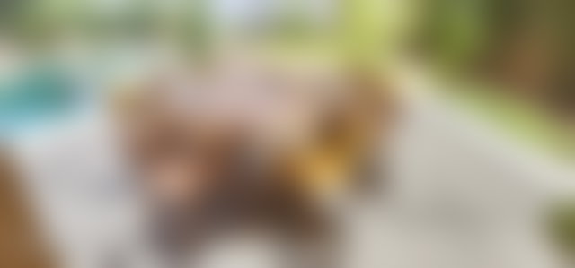 فيلا راقية للبيع بطريق ورزازات في مراكش — 4