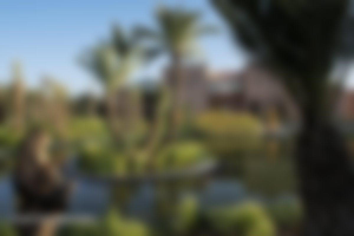 Villa d'architecte 1547 m², Palmeraie de Marrakech à vendre