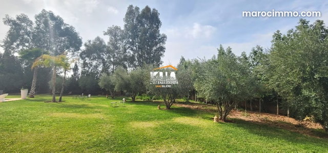 Independent Villa on the Fes Road 20 minutes from Marrakech City Center — 3