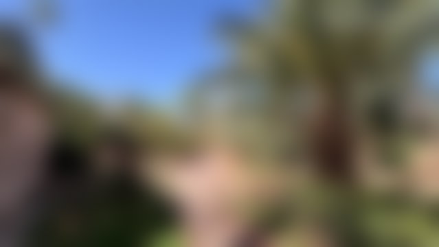1,200 sqm Villa with Mature Grounds, Marrakech Palmeraie — 3
