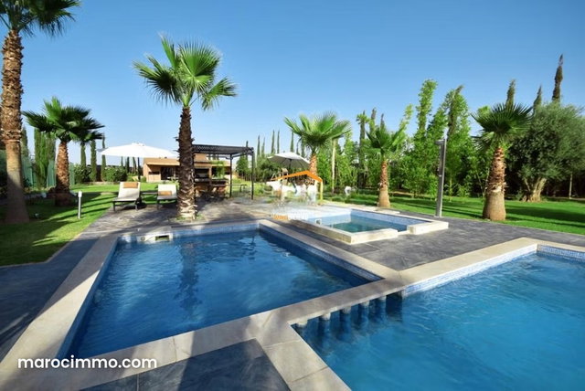 Beautiful Contemporary Villa within a Stunning 100-120 Olive Tree Park — 4