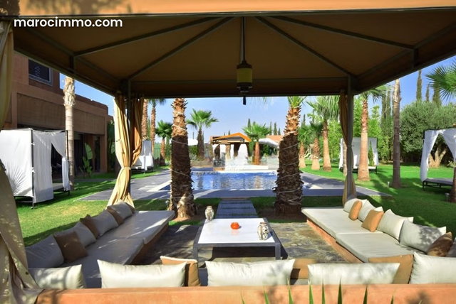 Beautiful Contemporary Villa within a Stunning 100-120 Olive Tree Park — 5