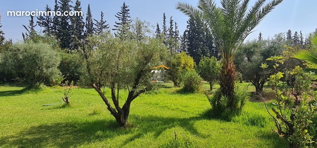 3 Unique Villas within a Secure Domain — 2