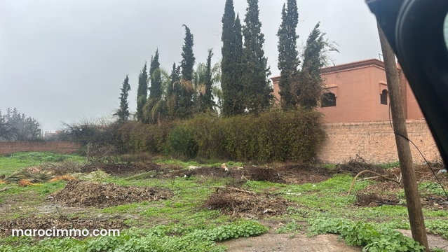 Exceptional 1000 m² Land for Sale in Targa — 2