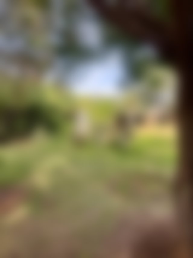 Villa 700 m² sur 5000 m² de parc, Route de Ouarzazate, Marrakech — 2