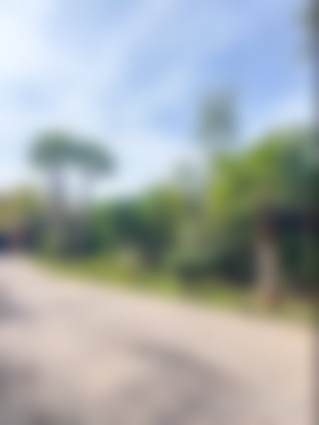 Villa 700 m² sur 5000 m² de parc, Route de Ouarzazate, Marrakech — 5